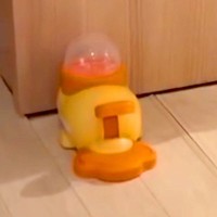 犬に『オヤツが出るおもちゃ』を与えた結果→『遊んでくれるかな』と思いきや…衝撃的な『使い方』が96万再生「可愛すぎる」「渾身の神頼みｗ」