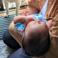 実家に連れて帰った赤ちゃんが泣いた結果→犬が『大丈夫なん？』と近づいて…様々な感情が詰まった『表情』に4万いいね「たまらん」「可愛い一枚」