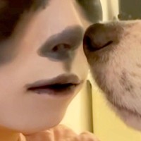 『犬と顔が似ている』と言われた女性→愛犬そっくりにメイクし、顔を見せてみた結果…面白可愛い光景に反響「何してんねんｗ」「目泳いでて草」