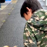 朝5時、『大型犬のリードを持ちたい』と言う男の子とお散歩へ→ワンコも『大丈夫？』と心配して…素敵な光景に2万いいね「目を合わせるの尊い」