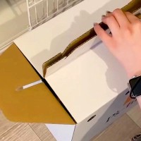 赤ちゃん犬を飼って初日、家に着き『箱を開けた』結果→『怖がってしまう』と思ったら…嘘のような光景が185万再生「大物」「肝っ玉据わりすぎ」