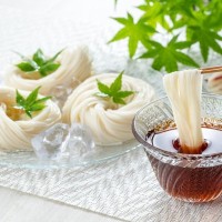 犬は『そうめん』を食べても大丈夫？正しい与え方や一日の適正量まで解説