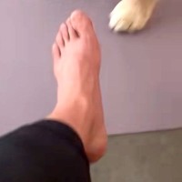 職を失った男性が『ニートになった』と大型犬に報告→『慰めてくれる』と思ったら…『まさかの光景』が37万再生「見下してて草」「目がｗｗ」