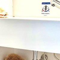 大嫌いな『ハミガキ』を察知した犬→『どうにか逃げなきゃ』と洗面所で隠れた結果…まさかの光景に爆笑「バリケードで草」「賢くて可愛いｗ」