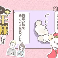 うちの王様にはどうしても抗えない【第371話】「バンビ闘病記③」