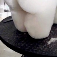 『もっふもふの白い犬』をカットした結果→まさかの『おしり』が…衝撃的な『桃尻』が319万再生「想像の10倍桃で草」「プリンプリンｗｗ」