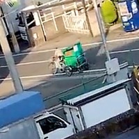 遠くで『クロネコヤマトの配達員』を発見した大型犬→ボール遊びを放棄して…大好きが伝わる『素敵なアピール』に絶賛「可愛いｗ」「お利口さん」