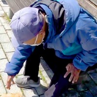 極小子犬が『ベンチで休憩中の知らないおじいちゃん』を発見→一目散に駆け寄って…とんでもなく可愛い光景が10万再生「たまらん」「チョロQ？」