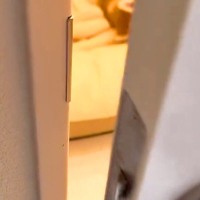 猫を保護して1ヶ月半後→帰宅し、ドアを開けたら『犬』と一緒に…思わず悶絶する『尊い光景』が236万再生「仲良し」「なんて幸せそうな顔」