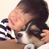 男の子が小さな時から『大型犬と育った』結果→5歳になった現在も…『愛してるよ』あまりにも尊い記録が18万再生「幸せそう」「愛が溢れてる」