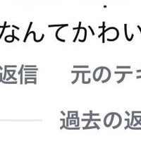 SNSに犬の写真を投稿→外国人からコメントがあり、翻訳したら…まさかの表現と『納得の光景』に絶賛「なんて可愛い豆」「わからんでもないｗ」