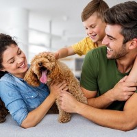 犬を迎える前に知っておくべき『理想と現実』6選　ワンコのお世話で大変だと感じる瞬間とは？