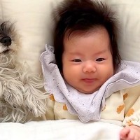 娘が赤ちゃんの頃から『8年間』見守ってきた2匹の犬→次女が生まれると…『家族愛あふれる光景』に反響「なんて可愛い四姉妹」「寄り添ってる」
