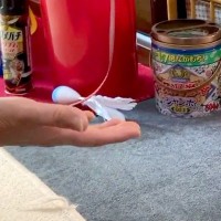 2日間、犬をペットホテルに預けた結果→ママとの再会を果たし、手を差し出すと…まるで『子どものような反応』が66万再生「しっぽは正直ｗ」