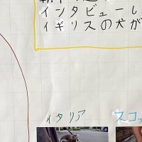 早朝、夏休みの自由研究をする娘→何をするのかと思ったら…まさかの『犬へのインタビュー』に6万いいね「素敵すぎ」「想像するだけで可愛い」