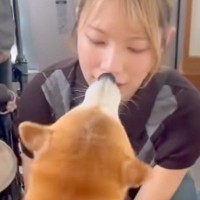 1日ぶりにお姉ちゃんと再会した犬→すぐ隣で『ベビーカーに乗った赤ちゃん』が…思わず笑う『のぞき見』に反響「ガン見すぎて草」「みんな可愛い」