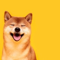 犬に『感謝の気持ち』を伝える方法5選　ありがとうを伝えるために飼い主が意識すべきポイントとは？