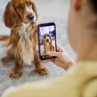 犬の飼い主がやりがちな『親バカ行為』4つ　過剰な甘やかしによって愛犬に与える悪影響とは？