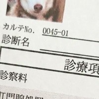 大嫌いな『肛門腺絞り』をする大型犬→終わった後『カルテ用の顔写真』を撮影され…まさかの『グレてしまった表情』に8万いいね「ブチギレで草」
