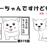 ちーちゃんですけどもっ【第373話】「お盆に帰りましたけどもっ」
