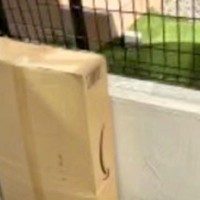 配達員から『お届け完了』の通知→写真を確認してみると、庭に…荷物だけではなかった『報告の一枚』に反響「なんかほっこり」「サービス精神」