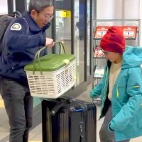 息子に内緒で『子犬を飼った』結果→『パパを駅に迎えにきただけ』と思っていたようで…尊すぎる『はじめまして』に反響「素敵な笑顔」「幸せだ」