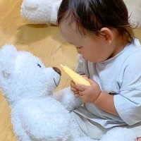赤ちゃんと大型犬の『ぬいぐるみの使い方』を比較→同じぬいぐるみなのに…まさかの『差がありすぎる光景』が10万再生「野生で草」「大爆笑」