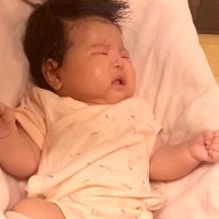 赤ちゃんが泣き始めた結果→近くにいた『超大型犬』がそっと顔を寄せて…まるで母のような『寝かしつけの瞬間』が101万再生「頼もしい」「完璧」