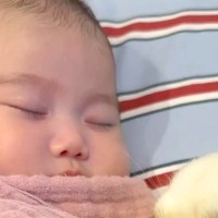 ぐっすりと眠る赤ちゃん→どうしても傍で寄り添いたい犬が…あまりにも愛おしい光景が16万再生「尊すぎて涙出た」「ふたりのほっぺたまらん」