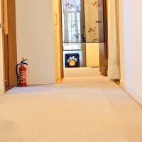 玄関にいたら、奥の扉から『15歳のおじいちゃん犬』が出てきて…あまりにも尊い光景が29万再生「本当にシニア？」「走り方が最高すぎる」