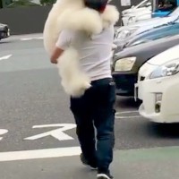 シャンプーをした大型犬→移動させるため『抱っこ』をすると…思わず二度見する『子どものような光景』に反響「理想」「抱きつくの可愛すぎる」