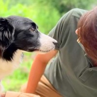 実家を出る息子に『犬を迎えて』と助言されたママ→一緒に暮らし始めた結果…帰省中の『幸せいっぱいな光景』に涙「泣いた」「優しすぎる」