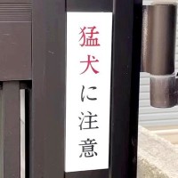 玄関先に『猛犬注意』の看板→『こわいワンコが出てくる』と思いきや…想定外すぎる『まさかの光景』が42万再生「天使で草」「ニッコニコｗ」