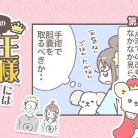 うちの王様にはどうしても抗えない【第373話】「バンビ闘病記⑤」