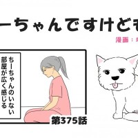 ちーちゃんですけどもっ【第375話】「残された側の生きる道」