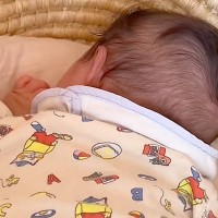 赤ちゃんがぐずってしまった結果→『近くにいる犬が心配してくれるかな』と思ったら…『まさかの態度』が26万再生「爆笑」「疲れ切ってて草」
