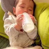 人間の赤ちゃんに『母性』が芽生えたハスキー犬→あまりにも好きすぎて、距離感がバグり…尊すぎる『護衛』が118万再生「優しい」「最高の兄」