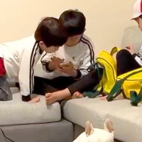 息子が友達と『お泊り会』を開いた結果→犬が『仲間外れにされた』と勘違いして…思わず笑う『表情』が434万再生「首の角度ｗ」「可愛すぎやろ」
