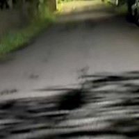 真夜中、田舎道で犬の散歩をしたら→なぜか立ち止まったので『視線の先』を見てみると…衝撃の光景が87万再生「えぐいｗ」「クローズで草」