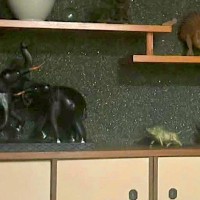 『違和感なさすぎるｗｗ』実家に犬を連れて帰省→ふと、部屋を見渡すと…思わず二度見する『まさかの光景』に反響「ハマってるｗ」「立派です」