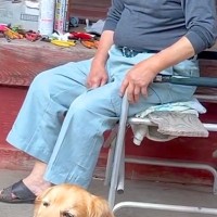 大型犬が『座っているおじいちゃん』を発見→帰宅拒否をするので、見かねたおじいちゃんが…尊いやり取りと結末に反響「居心地よかったんだね」