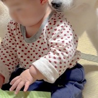 『赤ちゃんのやることが危なっかしい』と心配をする17歳のおばあちゃん犬→まるで孫のような光景が10万再生「癒しの空間」「母性と優しさ」