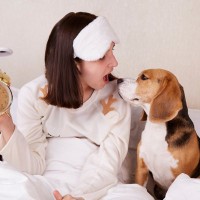 犬が早朝に『飼い主を起こす』心理5選　行動がエスカレートしてしまうNG対応とは？