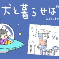 犬と暮らせば【第559話】「夏の終わり」