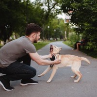 犬が『後ずさりしながら吠える』のはなぜ？飼い主から距離をとろうとする理由まで解説