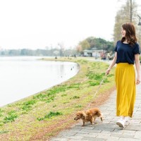 犬を危険にさらす『散歩の仕方』5選　他者とのトラブルや揉め事を防ぐために必ずすべきことまで