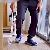ぎっくり腰になった男性→4匹の『犬と猫』が近づいてきて、一日中…あまりにも尊い『看病の光景』に反響「めちゃ優しい」「飼い主さん幸せだ」