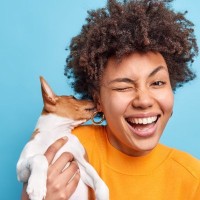 犬が人の髪を食べてしまう心理4選　誤食が引き起こす危険な症状や止めさせる方法まで