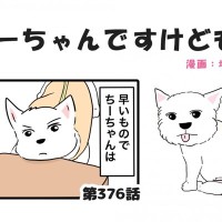 ちーちゃんですけどもっ【第376話】「49日をふり返って」