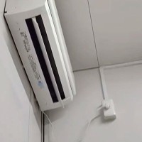 朝、『妙な違和感』を感じて起床→ふと横を見てみたら、隣に…羨ましすぎる『まさかの光景』が109万再生「最高かよｗ」「可愛くて息できない」